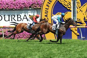 Shopaholic can win the Stradbroke: O'Brien